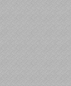 Edgar Silver - Coordonné