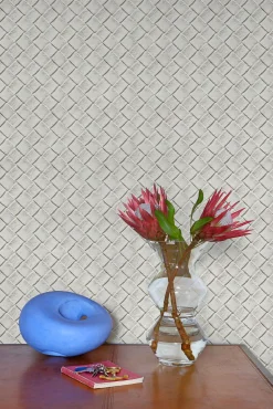 Edgar Silver - Coordonné