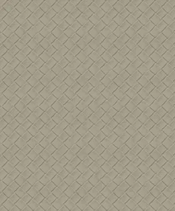 Edgar Stone - Coordonné