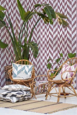 Espiga Ciruela - Coordonné