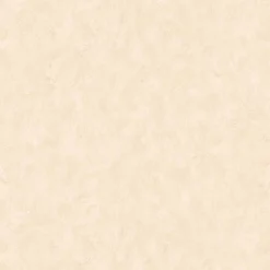 Estuco 1 - Coordonné