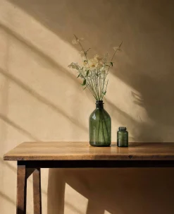 Estuco 1 - Coordonné