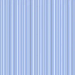 Fermín Índigo - Coordonné