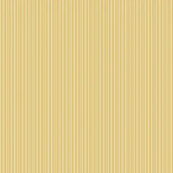 Fermín Vainilla - Coordonné