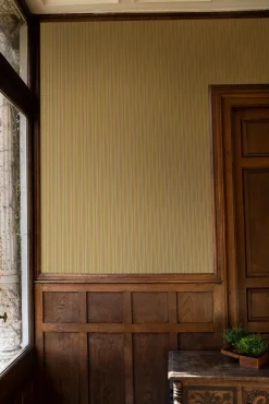 Fermín Vainilla - Coordonné