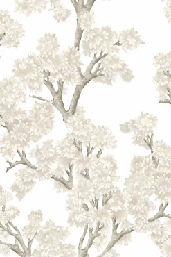 Field Maple Bone - Coordonné