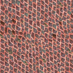 Fish skin Red - Coordonné