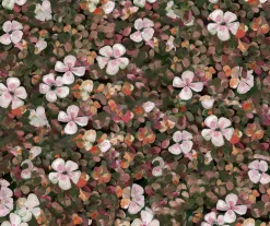 Floral Tapestry Lilac - Coordonné