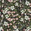 Floral Tapestry Pink - Coordonné