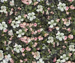 Floral Tapestry Pink - Coordonné