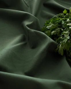 Forest 616 - Coordonné