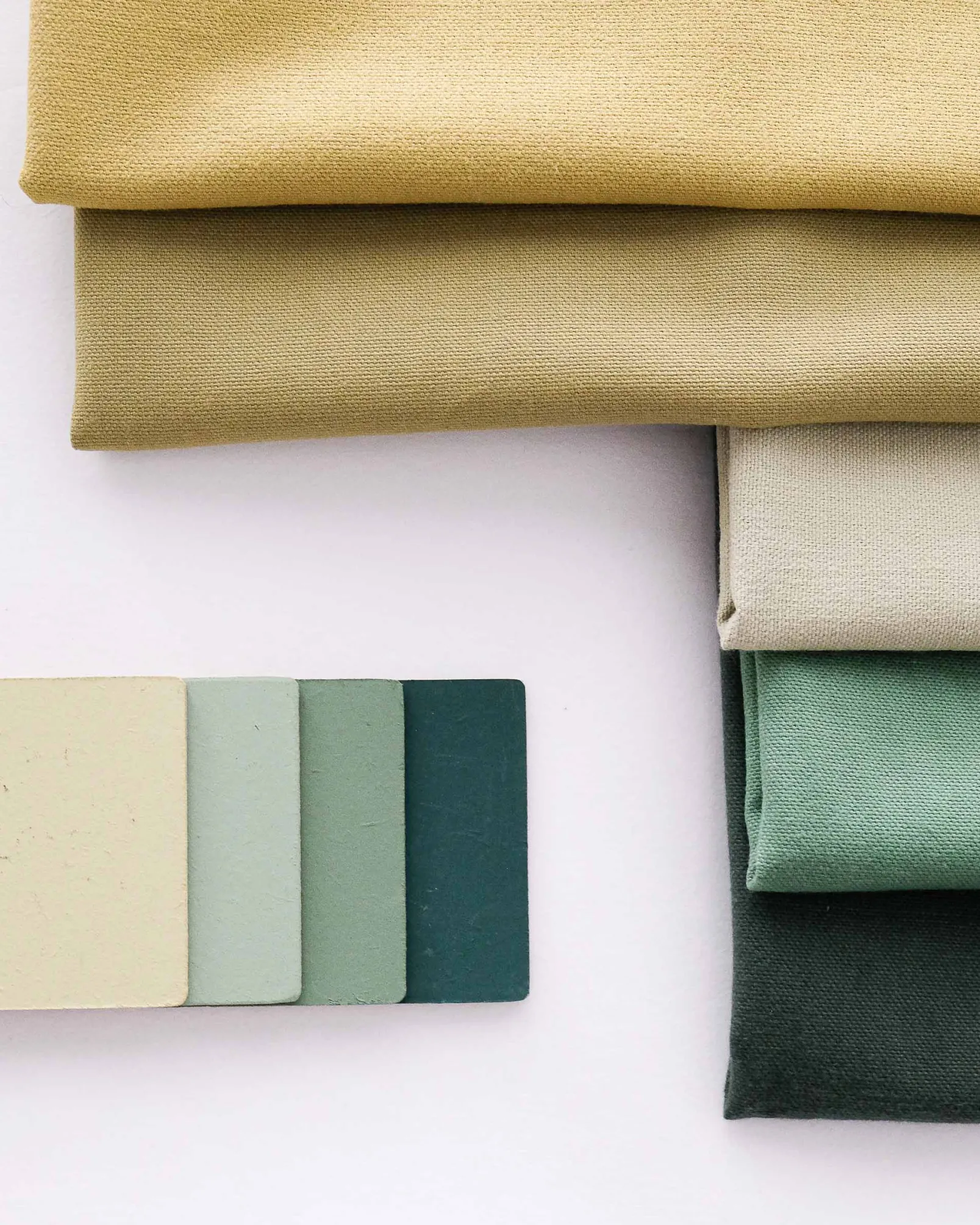 Forest 616 - Coordonné