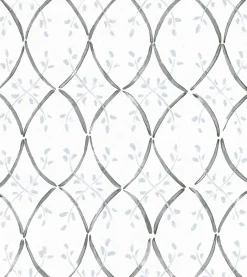 Forja Nube - Coordonné