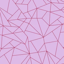 Fractalisimi Rosa - Coordonné