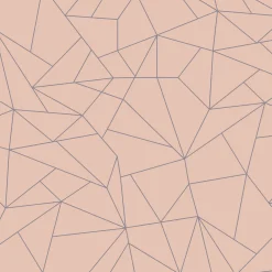 Fractalisimi Salmón - Coordonné