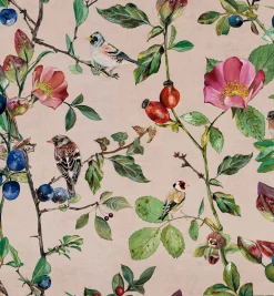 Goldfinch Song Blush - Coordonné