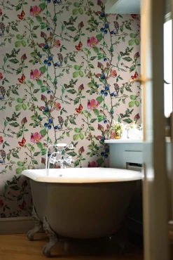 Goldfinch Song Blush - Coordonné