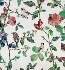 Goldfinch Song Cotton - Coordonné