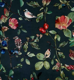 Goldfinch Song Night - Coordonné