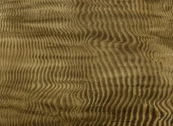 Harenae Gold - Coordonné