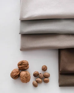 Hazelnut 489 - Coordonné