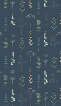 Herbario Noche - Coordonné