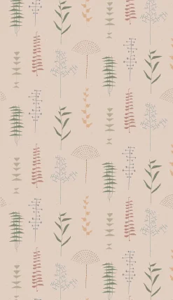 Herbario Rosa - Coordonné