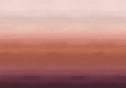 Hinode Prune - Coordonné