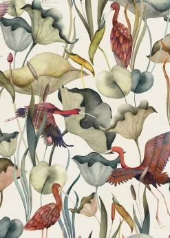 Humedales Algodón - Coordonné