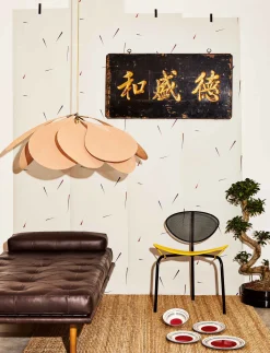 IkeyaSeki Piedra - Coordonné