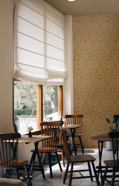 Infinity strokes Curry - Coordonné