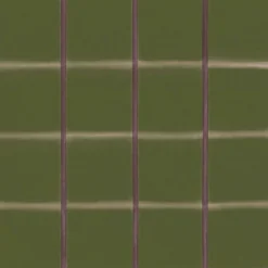 Itajime Moss - Coordonné