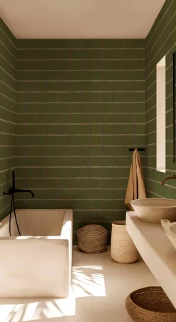 Itajime Moss - Coordonné