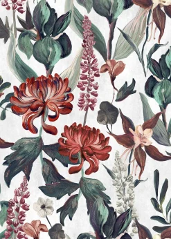 Jardín Rojo Cisne - Coordonné