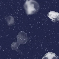 Jellyfish Blue - Coordonné