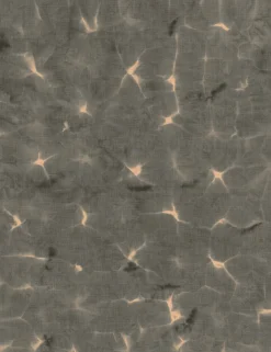 Kanoko Ash - Coordonné