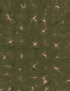 Kanoko Moss - Coordonné