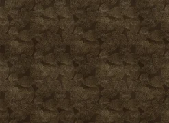 Lignite Gold - Coordonné