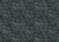 Lignite Silver - Coordonné