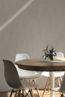 Lin Glacier II - Coordonné