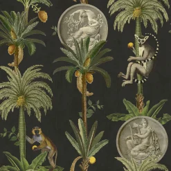 Lémurs Eclipse - Coordonné