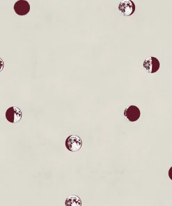 Lunatic Cherry - Coordonné