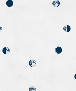 Lunatic Navy - Coordonné