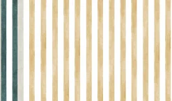 Luz y Sombra Curry - Coordonné