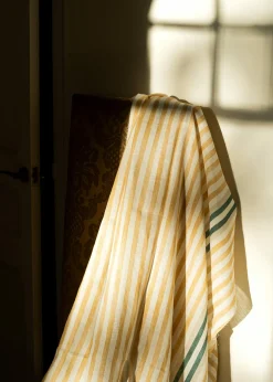 Luz y Sombra Curry - Coordonné