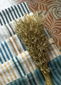 Luz y Sombra Curry - Coordonné