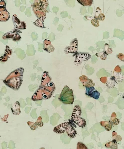 Magic butterflies Maca - Coordonné