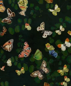 Magic butterflies Night - Coordonné