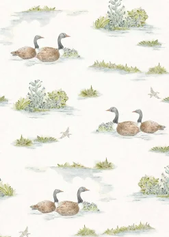 Mallard-Duck Sage - Coordonné