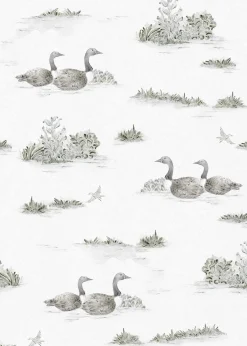 Mallard-Duck Silver - Coordonné